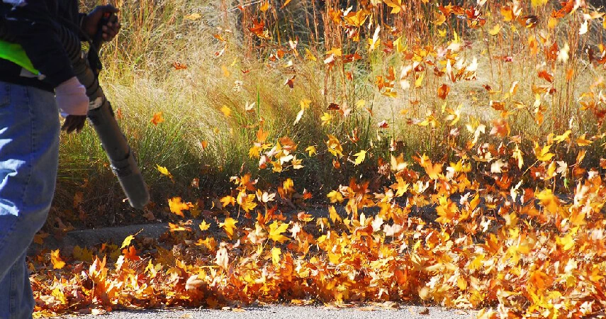 precision lawn care leaf removal fall cleanup 3 Landscaping and Lawn Care Services | PRO Land | Snow | Grand Forks, MN